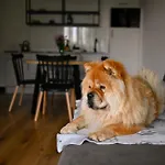 Moje Miejsce Apartmán