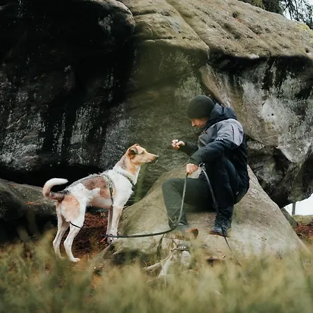 Moje Miejsce Διαμέρισμα *