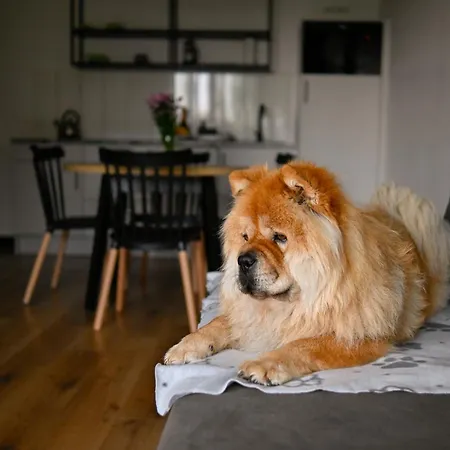 Moje Miejsce アパート