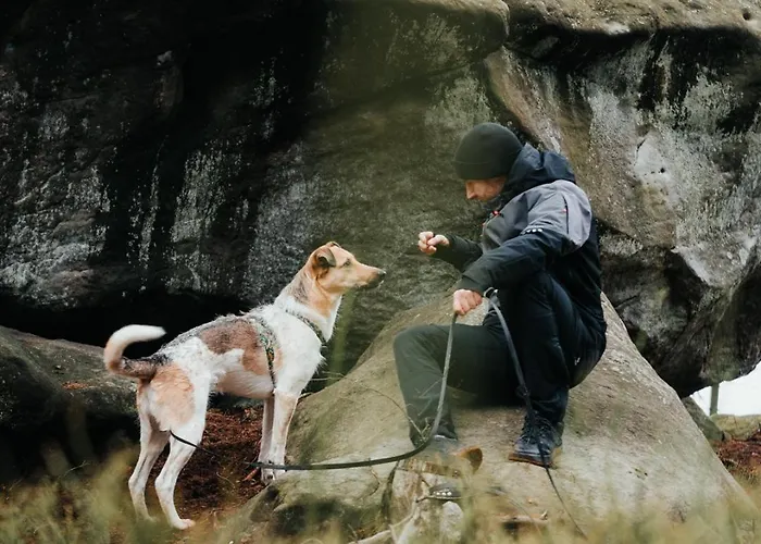 Moje Miejsce Апартаменты *