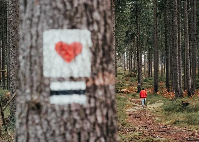 Апартаменты Moje Miejsce *