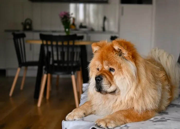 Moje Miejsce Appartamento